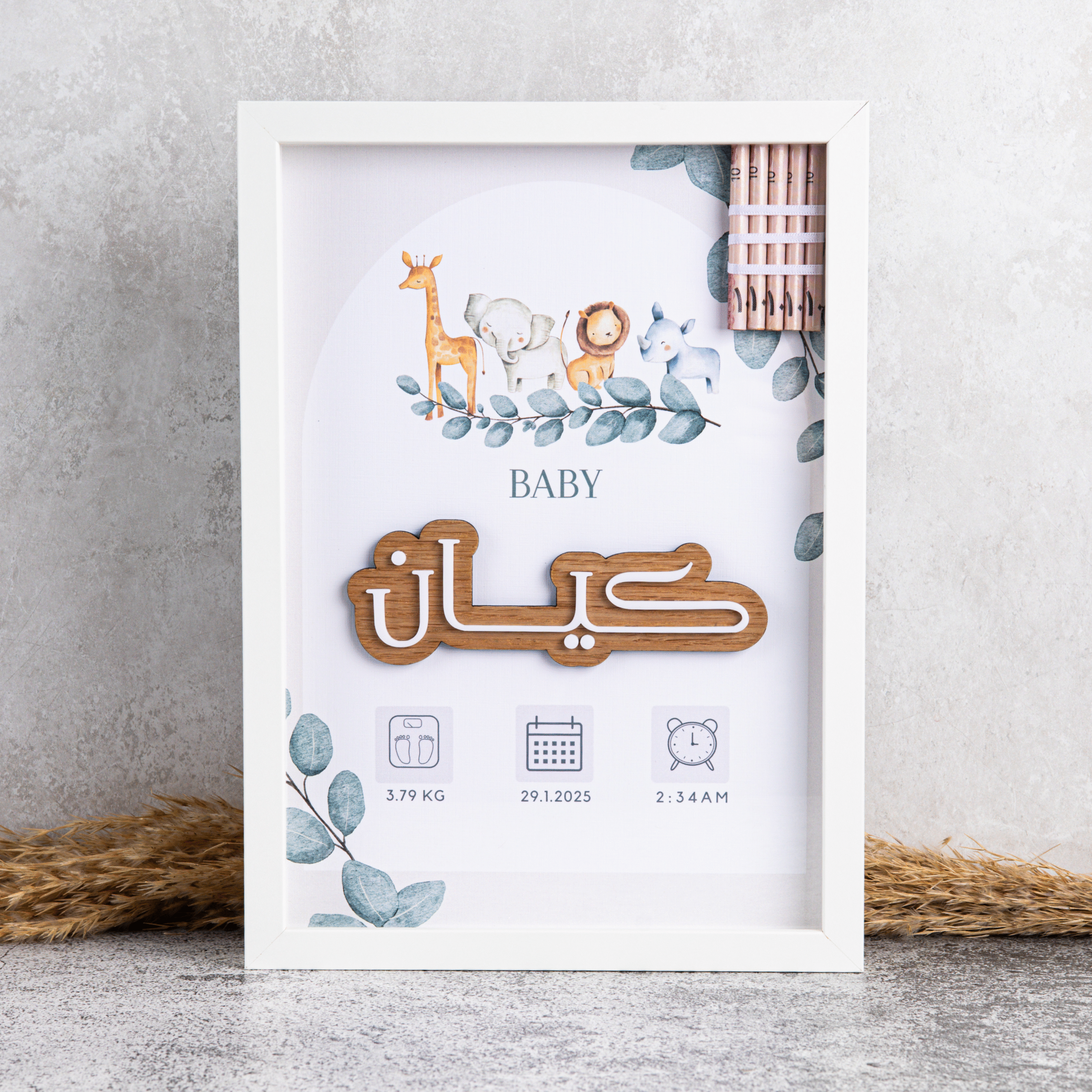 فريم السفاري مع معلومات